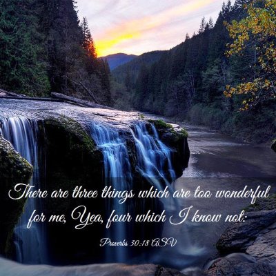 Picture 03 - Proverbs 30:18 ASV - There are three things which are too wonderful - Bible Verse Picture