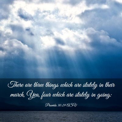 Picture 03 - Proverbs 30:29 ASV - There are three things which are stately in their - Bible Verse Picture