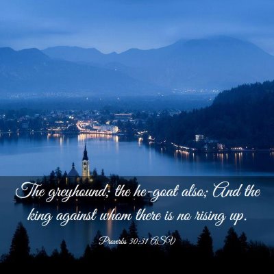 Picture 03 - Proverbs 30:31 ASV - The greyhound; the he-goat also; And the king - Bible Verse Picture
