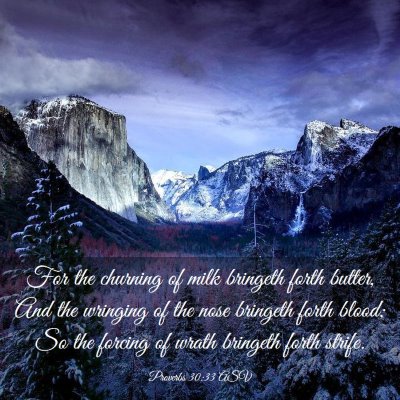 Picture 03 - Proverbs 30:33 ASV - For the churning of milk bringeth forth butter, - Bible Verse Picture