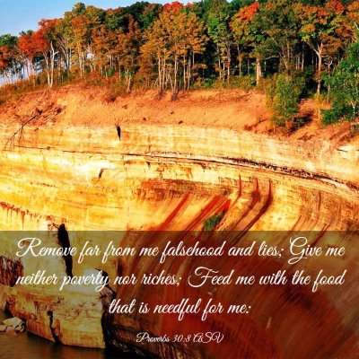 Picture 03 - Proverbs 30:8 ASV - Remove far from me falsehood and lies; Give me - Bible Verse Picture