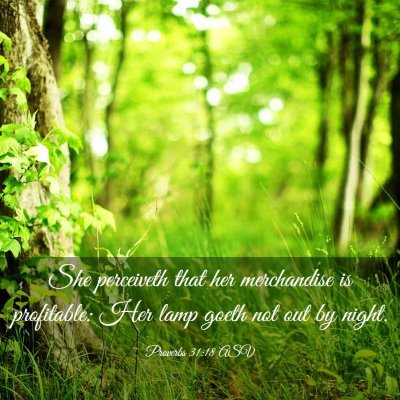 Picture 03 - Proverbs 31:18 ASV - She perceiveth that her merchandise is - Bible Verse Picture