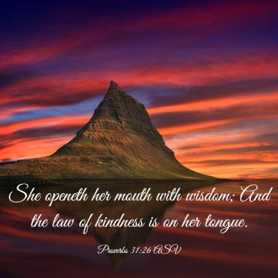 Picture 03 - Proverbs 31:26 ASV - She openeth her mouth with wisdom; And the law of - Bible Verse Picture