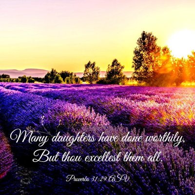 Picture 03 - Proverbs 31:29 ASV - Many daughters have done worthily, But thou - Bible Verse Picture