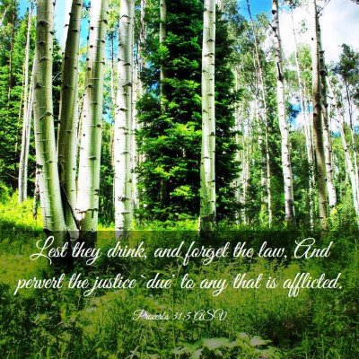 Picture 03 - Proverbs 31:5 ASV - Lest they drink, and forget the law, And pervert - Bible Verse Picture