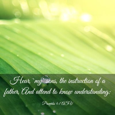 Picture 03 - Proverbs 4:1 ASV - Hear, `my' sons, the instruction of a father, And - Bible Verse Picture