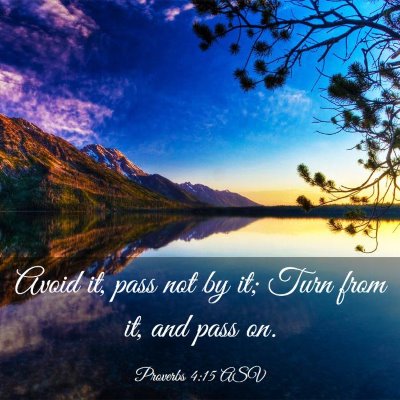 Picture 03 - Proverbs 4:15 ASV - Avoid it, pass not by it; Turn from it, and pass - Bible Verse Picture