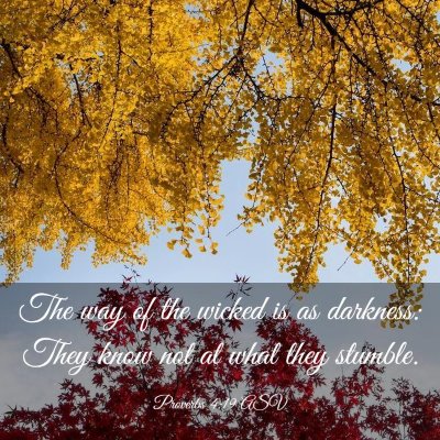 Picture 03 - Proverbs 4:19 ASV - The way of the wicked is as darkness: They know - Bible Verse Picture