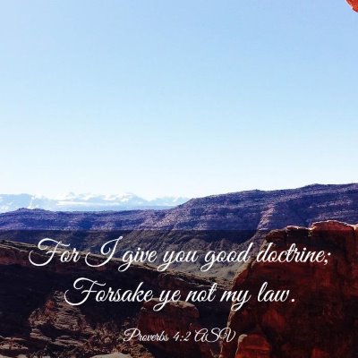 Picture 03 - Proverbs 4:2 ASV - For I give you good doctrine; Forsake ye not my - Bible Verse Picture