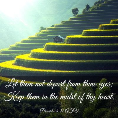 Picture 03 - Proverbs 4:21 ASV - Let them not depart from thine eyes; Keep them in - Bible Verse Picture