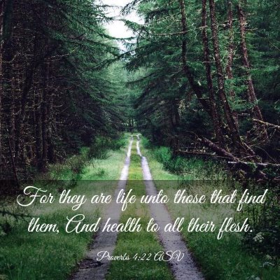 Picture 03 - Proverbs 4:22 ASV - For they are life unto those that find them, And - Bible Verse Picture