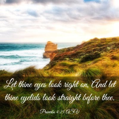Picture 03 - Proverbs 4:25 ASV - Let thine eyes look right on, And let thine - Bible Verse Picture