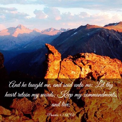 Picture 03 - Proverbs 4:4 ASV - And he taught me, and said unto me: Let thy heart - Bible Verse Picture