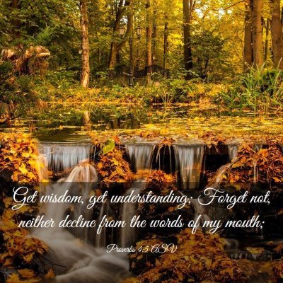 Picture 03 - Proverbs 4:5 ASV - Get wisdom, get understanding; Forget not, - Bible Verse Picture