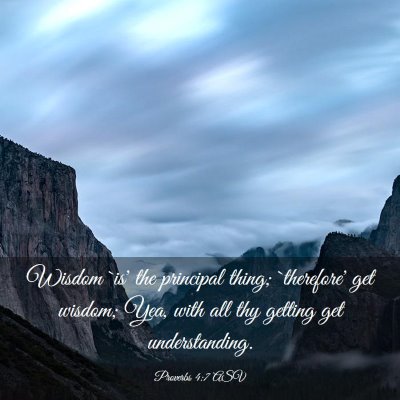 Picture 03 - Proverbs 4:7 ASV - Wisdom `is' the principal thing; `therefore' get - Bible Verse Picture