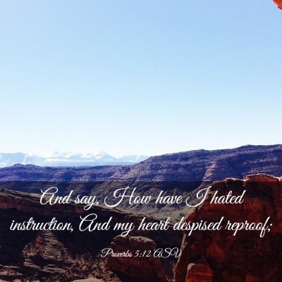 Picture 03 - Proverbs 5:12 ASV - And say, How have I hated instruction, And my - Bible Verse Picture