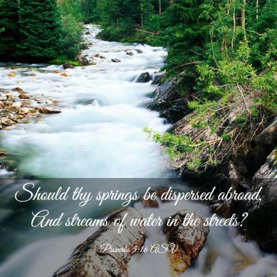 Picture 03 - Proverbs 5:16 ASV - Should thy springs be dispersed abroad, And - Bible Verse Picture