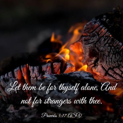 Picture 03 - Proverbs 5:17 ASV - Let them be for thyself alone, And not for - Bible Verse Picture
