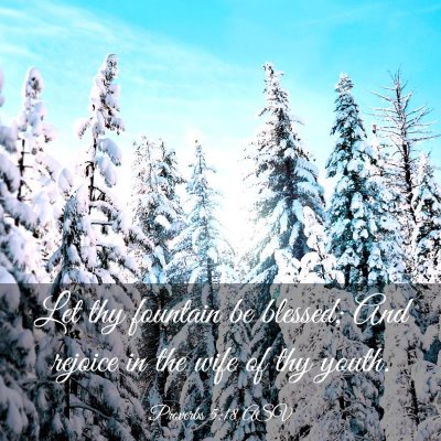 Picture 03 - Proverbs 5:18 ASV - Let thy fountain be blessed; And rejoice in the - Bible Verse Picture