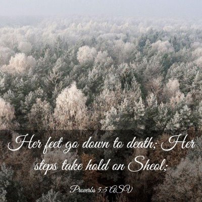 Picture 03 - Proverbs 5:5 ASV - Her feet go down to death; Her steps take hold on - Bible Verse Picture