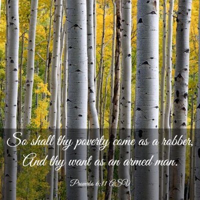 Picture 03 - Proverbs 6:11 ASV - So shall thy poverty come as a robber, And thy - Bible Verse Picture