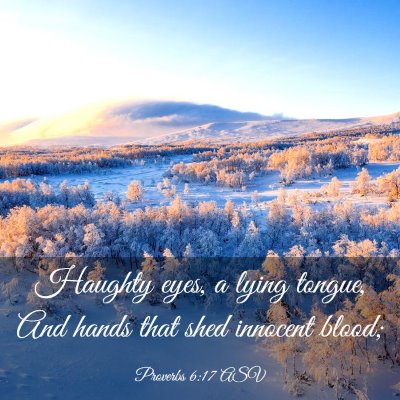Picture 03 - Proverbs 6:17 ASV - Haughty eyes, a lying tongue, And hands that shed - Bible Verse Picture