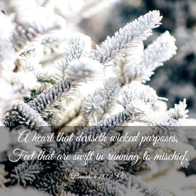 Picture 03 - Proverbs 6:18 ASV - A heart that deviseth wicked purposes, Feet that - Bible Verse Picture