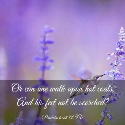 Picture 03 - Proverbs 6:28 ASV - Or can one walk upon hot coals, And his feet not - Bible Verse Picture