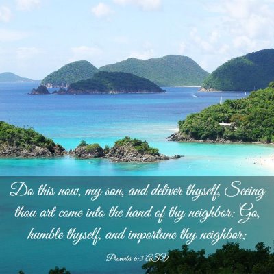 Picture 03 - Proverbs 6:3 ASV - Do this now, my son, and deliver thyself, Seeing - Bible Verse Picture