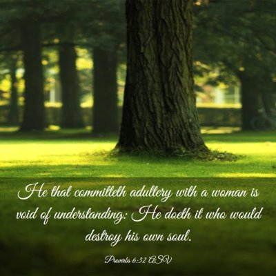 Picture 03 - Proverbs 6:32 ASV - He that committeth adultery with a woman is void - Bible Verse Picture