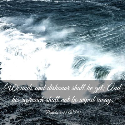 Picture 03 - Proverbs 6:33 ASV - Wounds and dishonor shall he get; And his - Bible Verse Picture