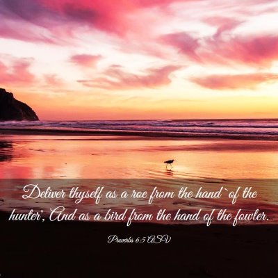 Picture 03 - Proverbs 6:5 ASV - Deliver thyself as a roe from the hand `of the - Bible Verse Picture