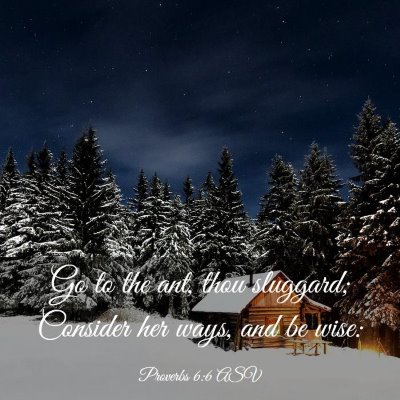 Picture 03 - Proverbs 6:6 ASV - Go to the ant, thou sluggard; Consider her ways, - Bible Verse Picture