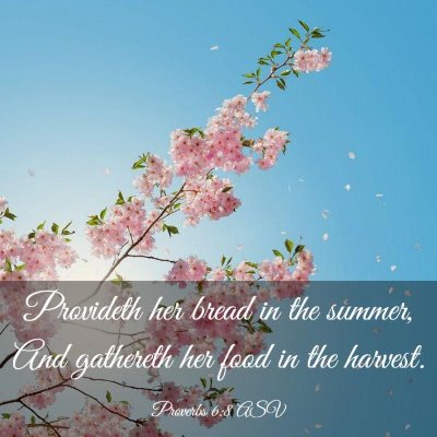 Picture 03 - Proverbs 6:8 ASV - Provideth her bread in the summer, And gathereth - Bible Verse Picture