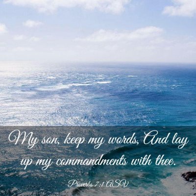 Picture 03 - Proverbs 7:1 ASV - My son, keep my words, And lay up my commandments - Bible Verse Picture