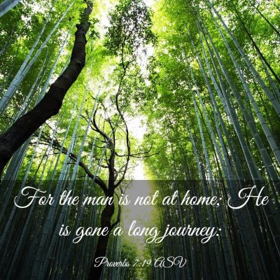 Picture 03 - Proverbs 7:19 ASV - For the man is not at home; He is gone a long - Bible Verse Picture