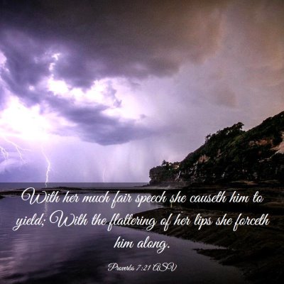 Picture 03 - Proverbs 7:21 ASV - With her much fair speech she causeth him to - Bible Verse Picture
