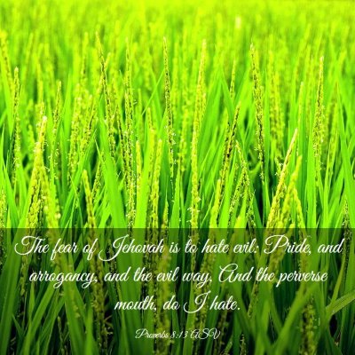 Picture 03 - Proverbs 8:13 ASV - The fear of Jehovah is to hate evil: Pride, and - Bible Verse Picture