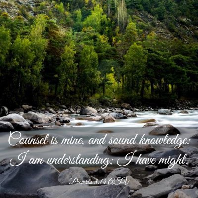 Picture 03 - Proverbs 8:14 ASV - Counsel is mine, and sound knowledge: I am - Bible Verse Picture