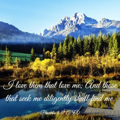 Picture 03 - Proverbs 8:17 ASV - I love them that love me; And those that seek me - Bible Verse Picture