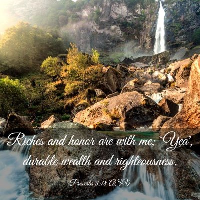 Picture 03 - Proverbs 8:18 ASV - Riches and honor are with me; `Yea', durable - Bible Verse Picture