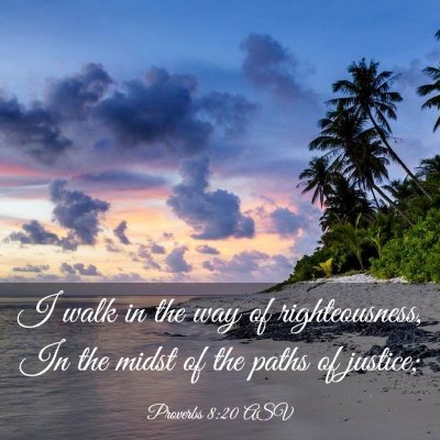 Picture 03 - Proverbs 8:20 ASV - I walk in the way of righteousness, In the midst - Bible Verse Picture