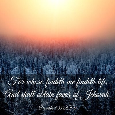 Picture 03 - Proverbs 8:35 ASV - For whoso findeth me findeth life, And shall - Bible Verse Picture