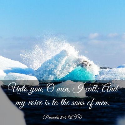 Picture 03 - Proverbs 8:4 ASV - Unto you, O men, I call; And my voice is to the - Bible Verse Picture