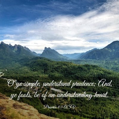 Picture 03 - Proverbs 8:5 ASV - O ye simple, understand prudence; And, ye fools, - Bible Verse Picture