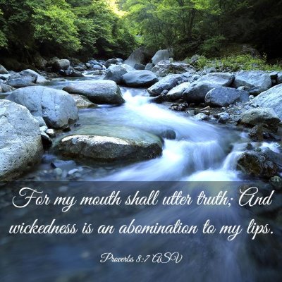 Picture 03 - Proverbs 8:7 ASV - For my mouth shall utter truth; And wickedness is - Bible Verse Picture