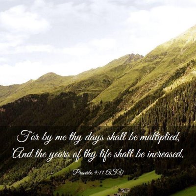 Picture 03 - Proverbs 9:11 ASV - For by me thy days shall be multiplied, And the - Bible Verse Picture