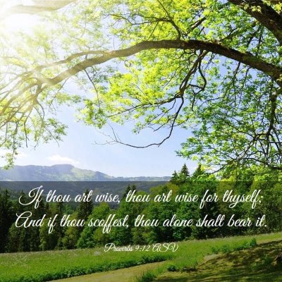 Picture 03 - Proverbs 9:12 ASV - If thou art wise, thou art wise for thyself; And - Bible Verse Picture