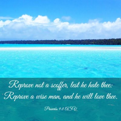 Picture 03 - Proverbs 9:8 ASV - Reprove not a scoffer, lest he hate thee: Reprove - Bible Verse Picture