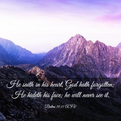 Picture 03 - Psalms 10:11 ASV - He saith in his heart, God hath forgotten; He - Bible Verse Picture